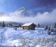 pic for Beautiful snow 